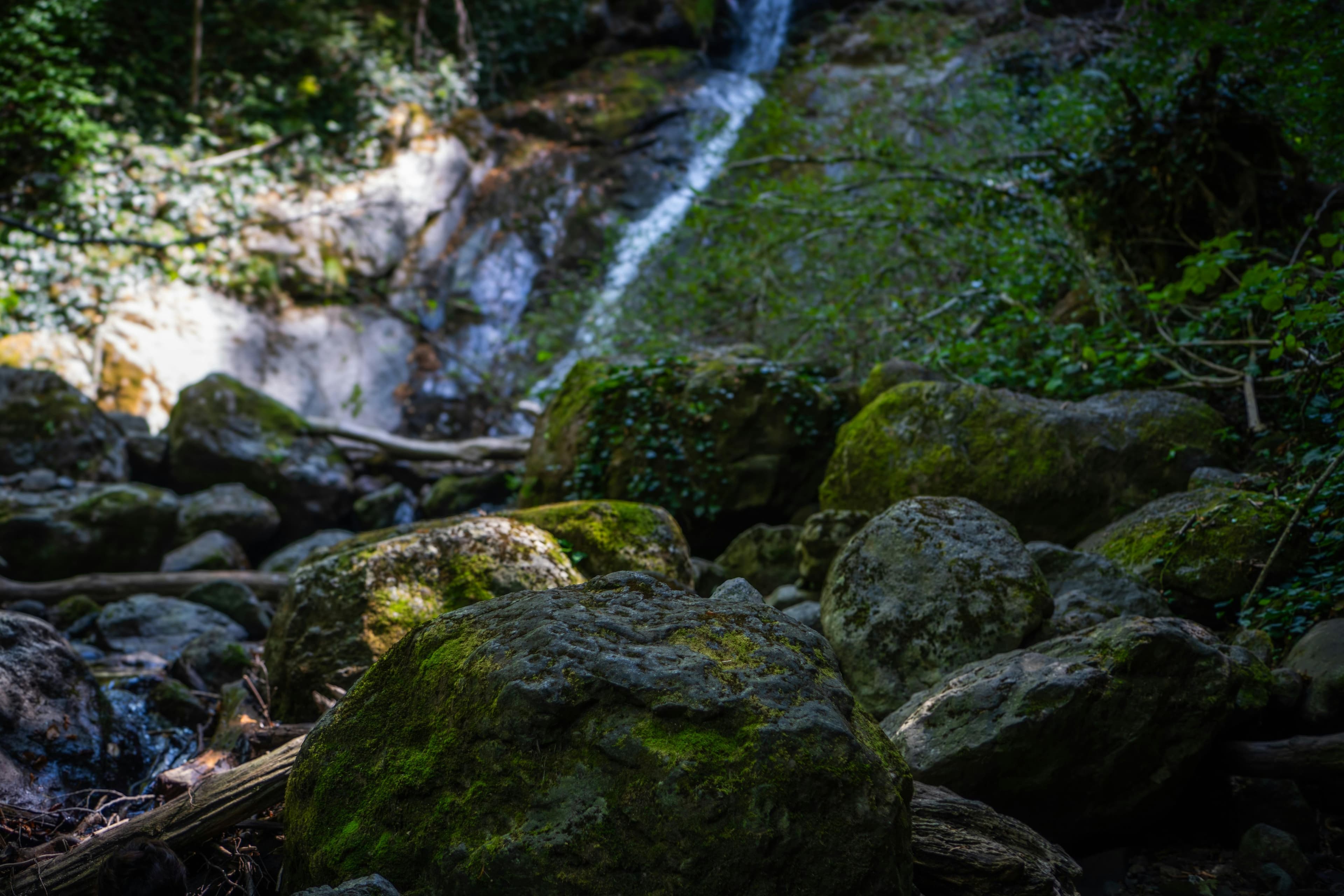 Eco-Friendly Travel Tips: How to Be a Responsible Traveler